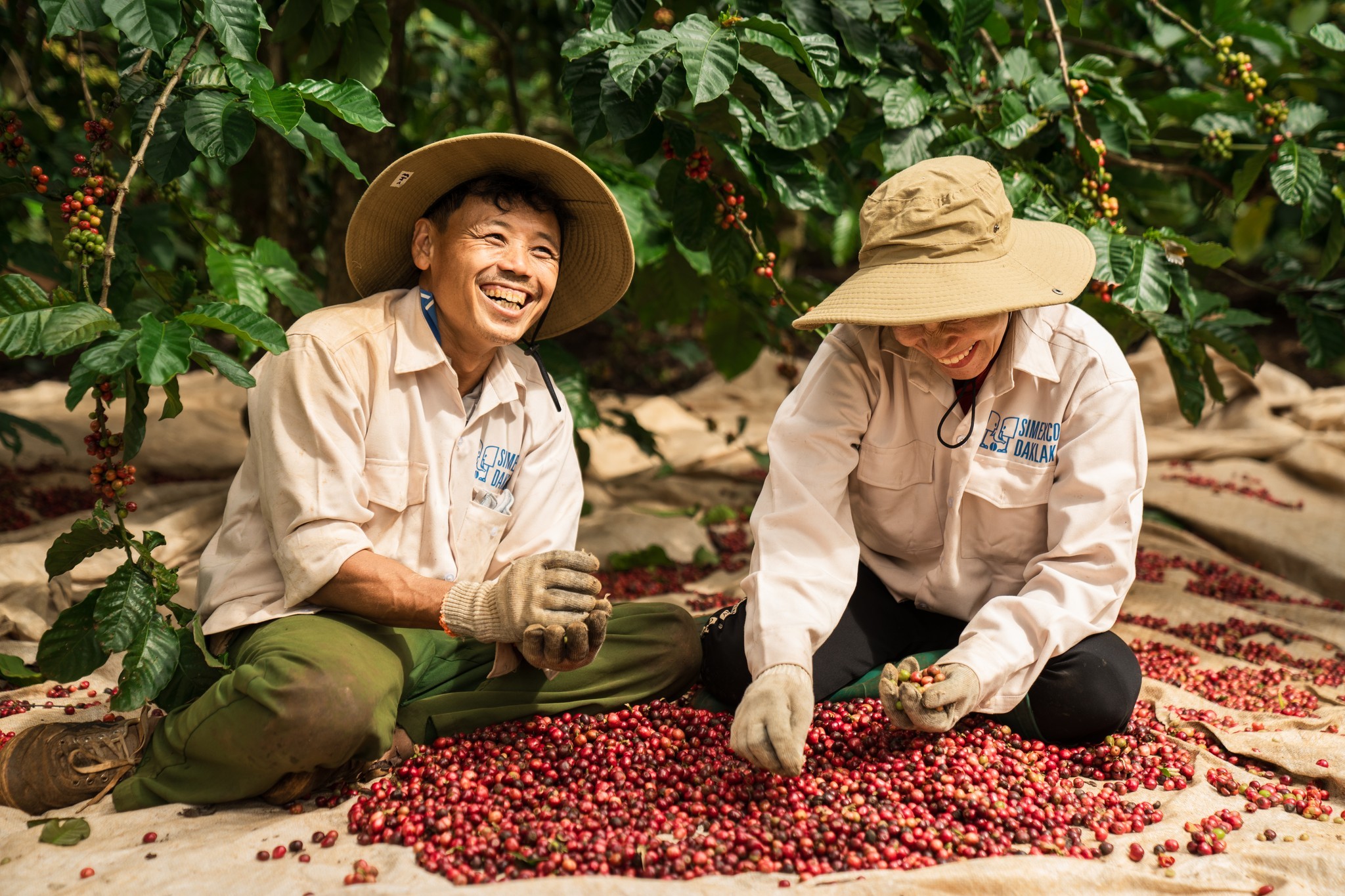 Simexco - Cà phê thượng hạng